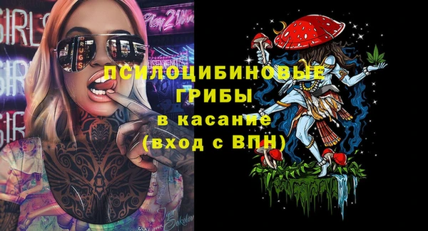 мдпв Бородино