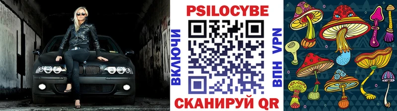 Псилоцибиновые грибы мицелий  Купить закладки  Кирс 